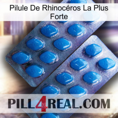 Pilule De Rhinocéros La Plus Forte viagra2